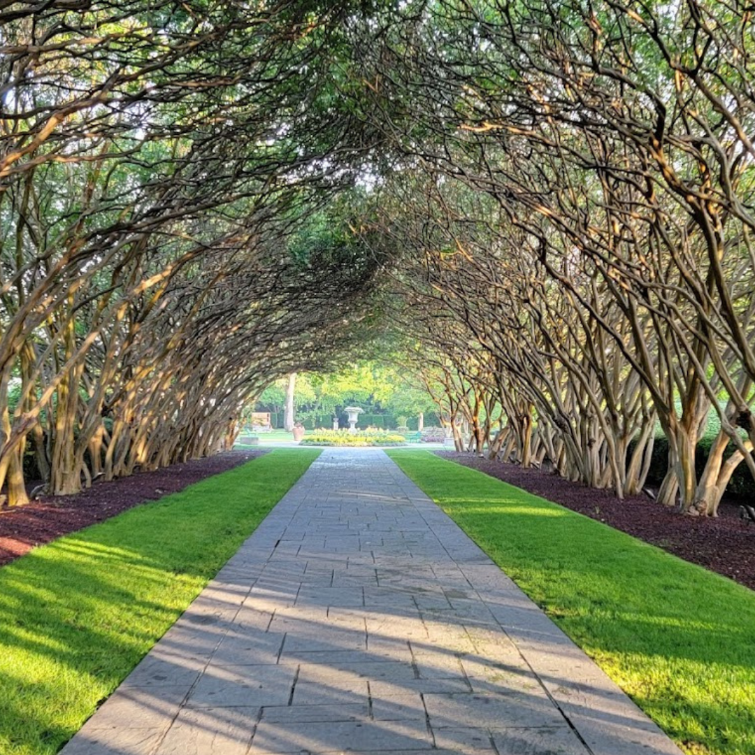 Dallas Arboretum and Botanical Garden Dallas Arboretum and Botanical Garden