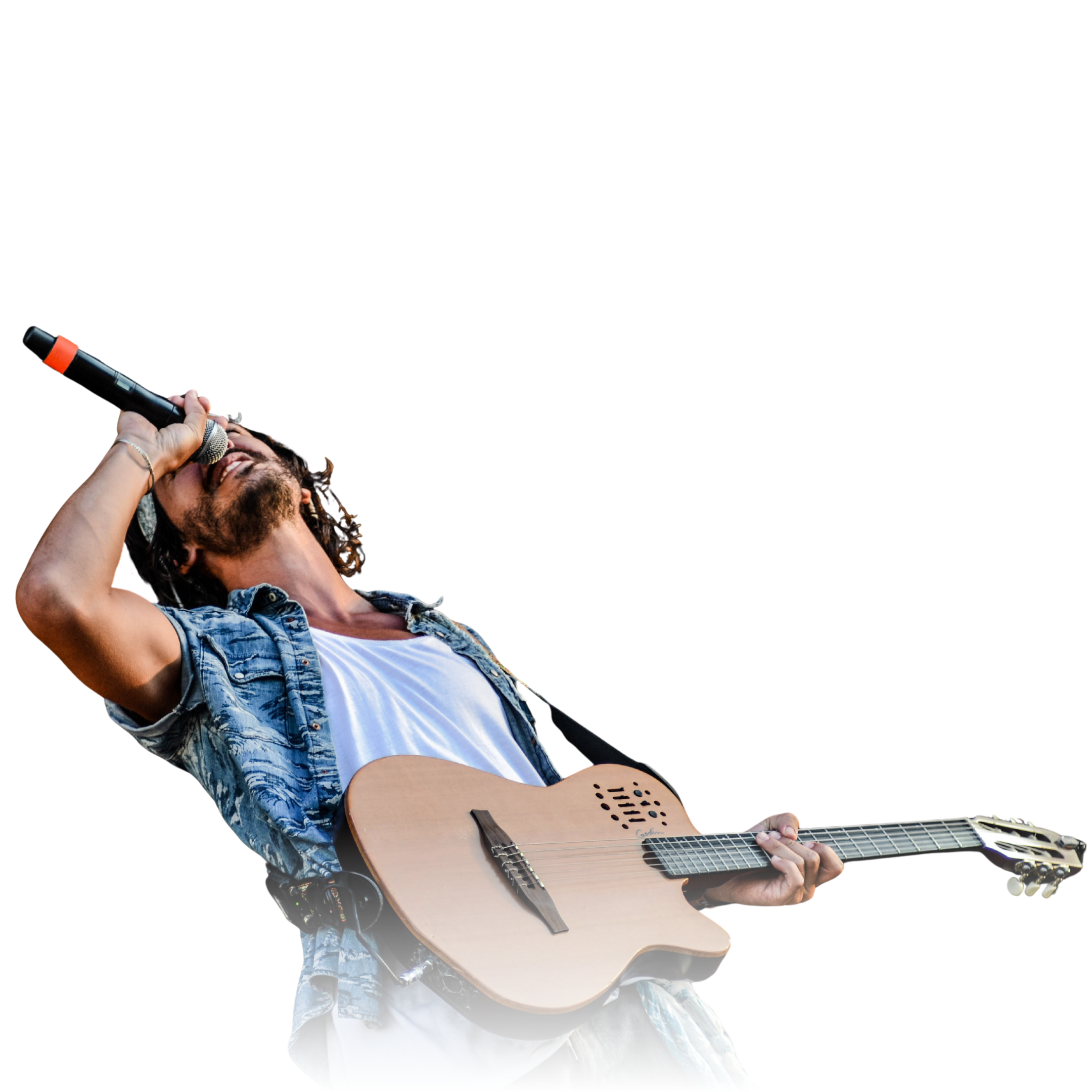 Dallas Party Bus Rentals Concert Transportation