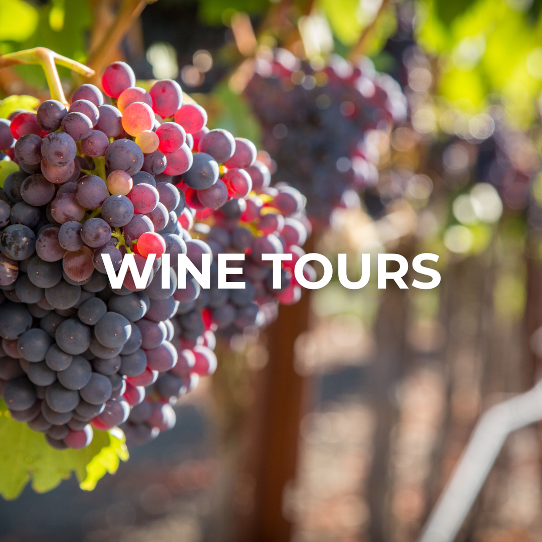 Dallas Wine Tours Dallas Wine Tours