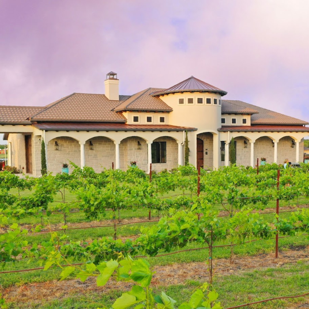 Rosini Vineyards Rosini Vineyards